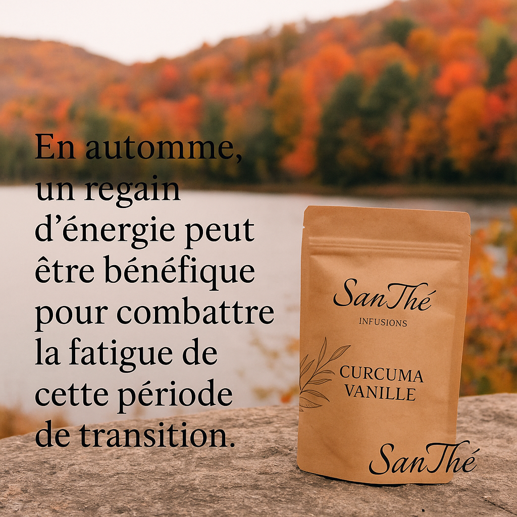 🍂 Retrouver son énergie naturellement pendant l’automne